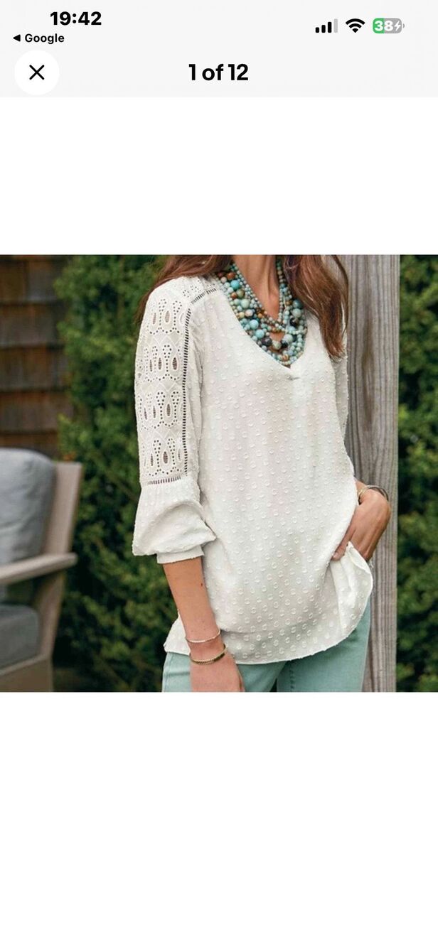 Soft Surroundings Harcourt Blouse, a white long-sleeve V-neck